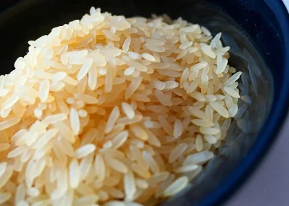 Le riz : un allié de la cuisine healthy 4 bol de riz